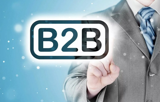 B2B Data
